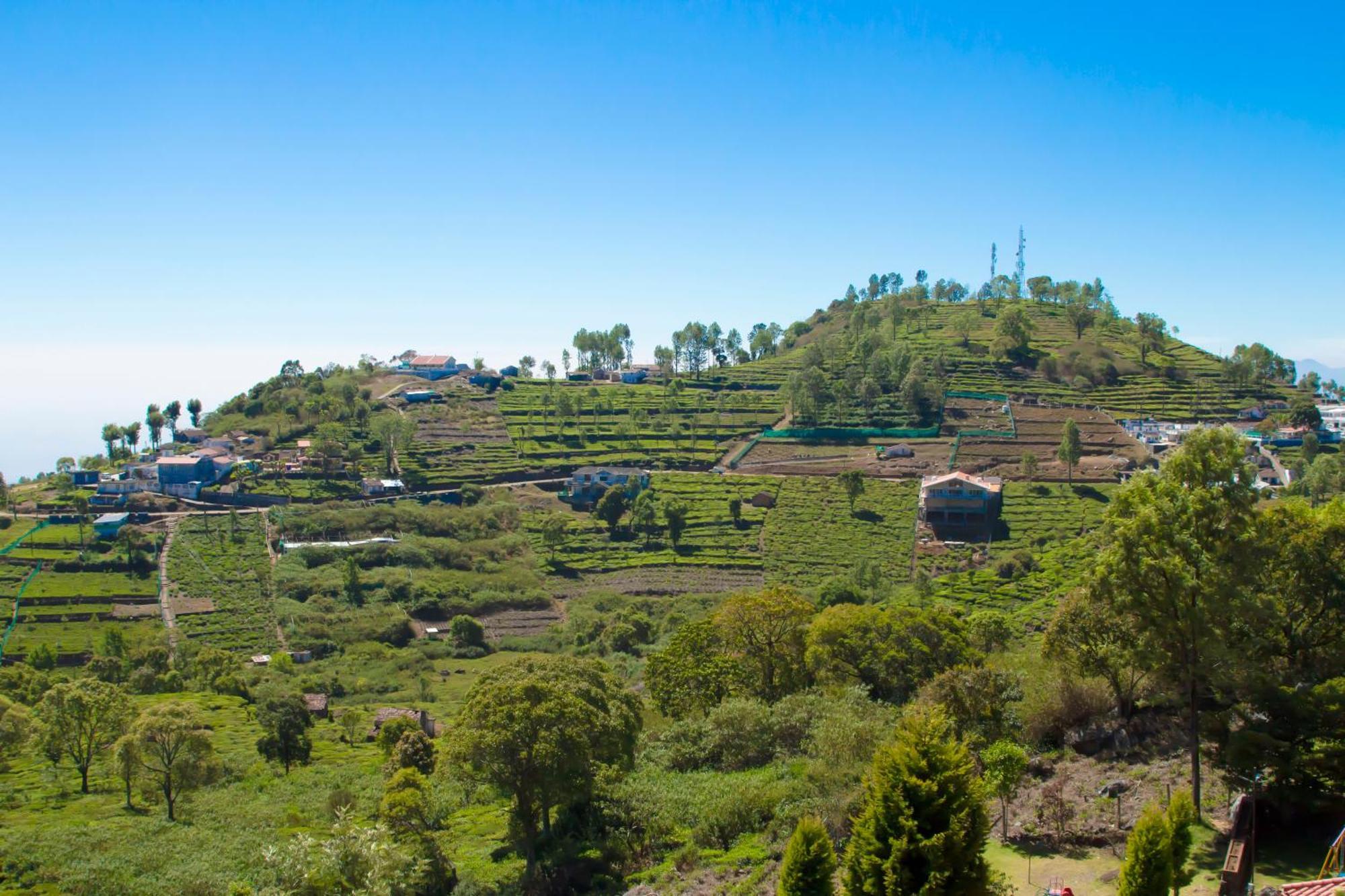 The Royale Ridge Hotel Kotagiri Buitenkant foto