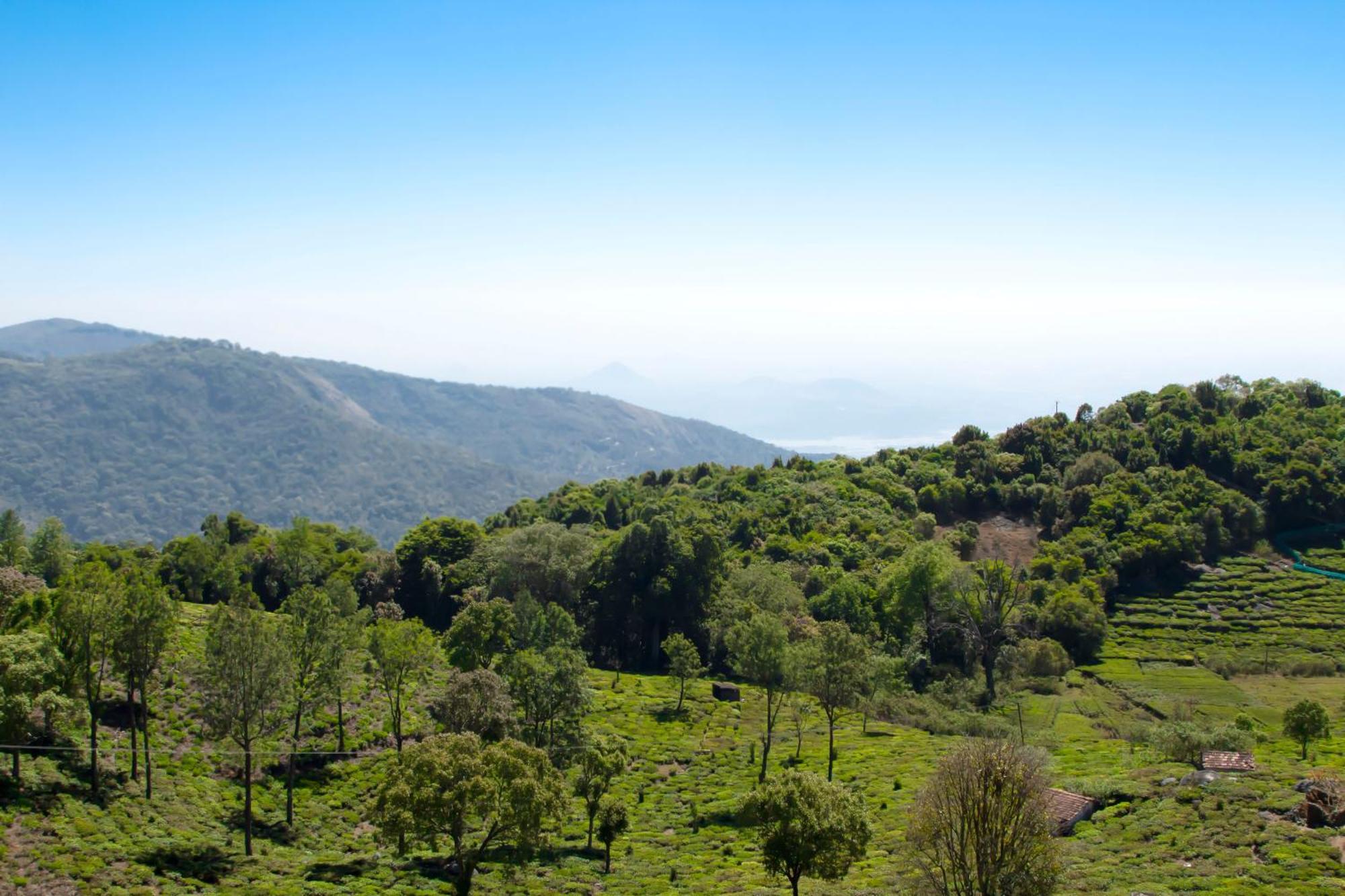 The Royale Ridge Hotel Kotagiri Buitenkant foto